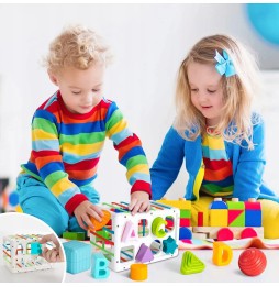 Sensory Motor Block Matching Toy