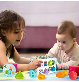 Sensory Motor Block Matching Toy