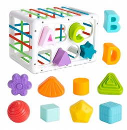 Sensory Motor Block Matching Toy