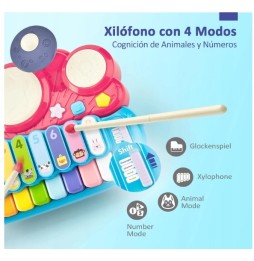 Hahaland musical toy for children 6 months