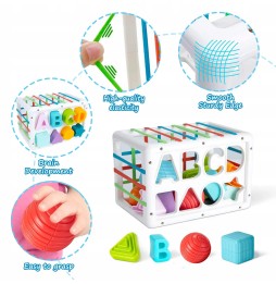 Sensory Motor Block Matching Toy