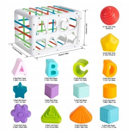 Sensory Motor Block Matching Toy