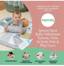 Ingenuity Baby Play Mat with Toys