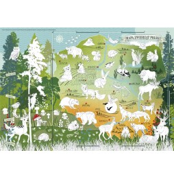 Educational Animal Map Coloring Book Poland