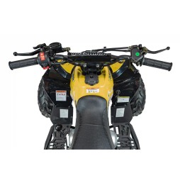 Quad spalinowy renegade hiperfect 110cc żółty