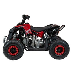 Renegade Hiperfect 110cc Red Quad