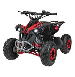 Renegade Hiperfect 110cc Red Quad