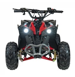 Renegade Hiperfect 110cc Red Quad