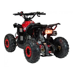 Renegade Hiperfect 110cc Red Quad