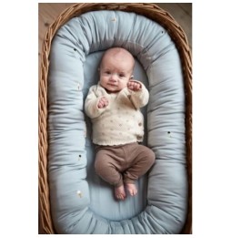 Filibabba infant nest v2 Pearl Blue