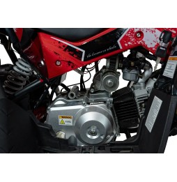 Renegade Hiperfect 110cc Red Quad