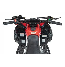 Renegade Hiperfect 110cc Red Quad