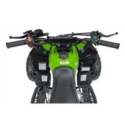 Quad pe benzină renegade hiperfect 110cc verde