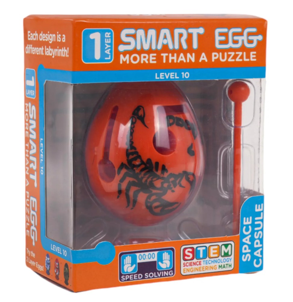 Orange Egg Logic Game for Kids