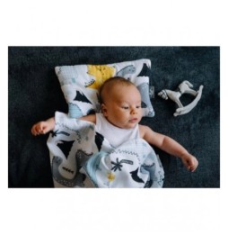 Bamboo Swaddle with Silver Ions - 110x110 cm