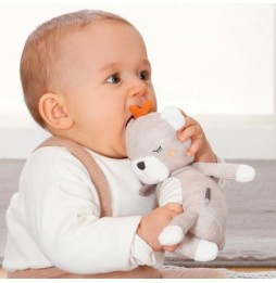 Teddy Bear Plush Toy - Organic Cotton