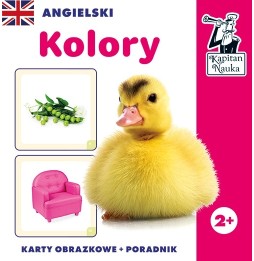 Gra edukacyjna angielski kolory dla dzieci 2+