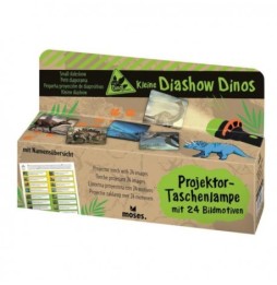 Flashlight and Mini Projector with Dinosaurs