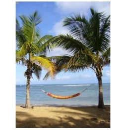 Barbados Double Hammock - Papaya 230x150cm