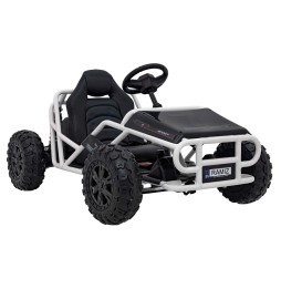 Vehicul sportiv 5 negru - motor 2x100W, baterie 24V