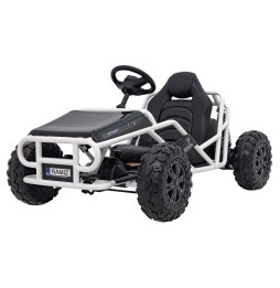 Vehicul sportiv 5 negru - motor 2x100W, baterie 24V