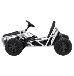 Vehicul sportiv 5 negru - motor 2x100W, baterie 24V