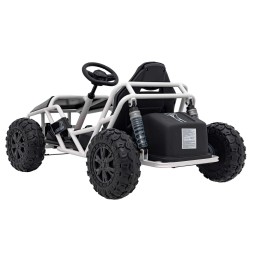 Vehicul sportiv 5 negru - motor 2x100W, baterie 24V