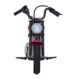 Speed Power Pink Motor Vehicle with 250W Engine