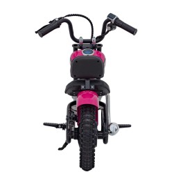 Speed Power Pink Motor Vehicle with 250W Engine