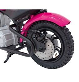 Speed Power Pink Motor Vehicle with 250W Engine