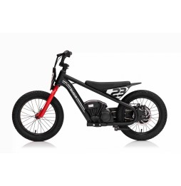 Motor Baigor 23 Pro Black - Electric City Bike