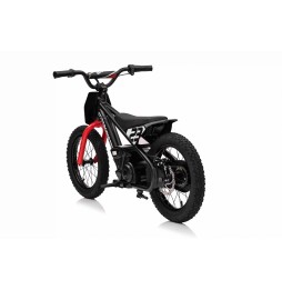 Motor Baigor 23 Pro Black - Electric City Bike