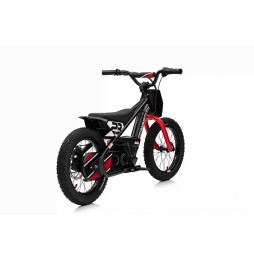 Motor Baigor 23 Pro Black - Electric City Bike