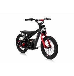 Motor Baigor 23 Pro Black - Electric City Bike