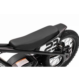 Motor Baigor 23 Pro Black - Electric City Bike