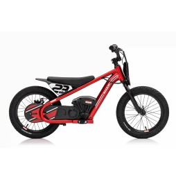 Baigor 23 Pro Red - Electric Scooter