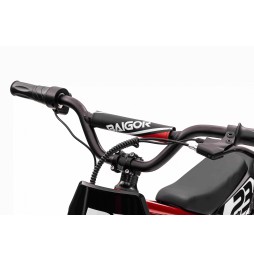 Baigor 23 Pro Red - Electric Scooter