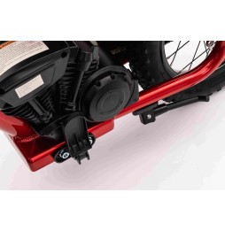 Baigor 23 Pro Red - Electric Scooter