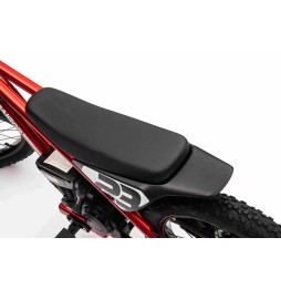 Baigor 23 Pro Red - Electric Scooter