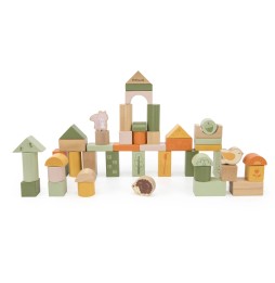 Viga PolarB Wooden Blocks 50 Pieces