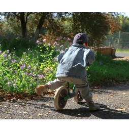 Qplay Trainer Balance Bike Green