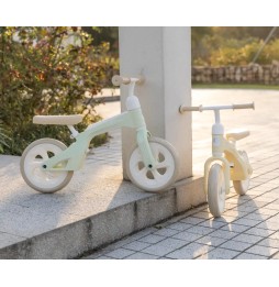 Bicicleta de echilibru Qplay Tech Mint