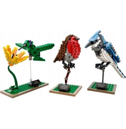 LEGO Ideas 21301 Păsări - set de construcție