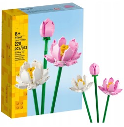 LEGO Lotus Flowers 40647 - Gift for Every Occasion