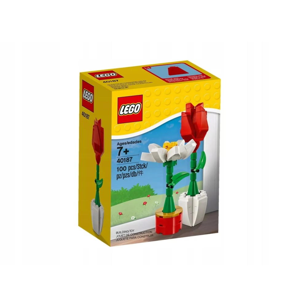 LEGO Flori Trandafir și Margareta Cadou