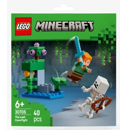 LEGO Minecraft 30705 Lupta în peștera luxuriantă