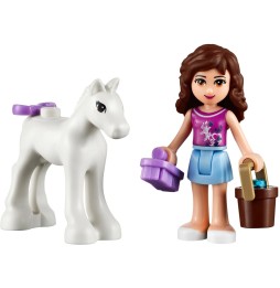 LEGO Friends Mânzul Oliviei 41003 Nou