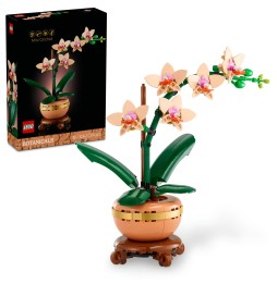 LEGO Botanicals Mała orchidea 10343