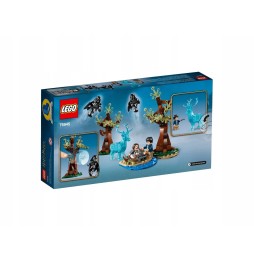 Cărți LEGO Harry Potter 75945