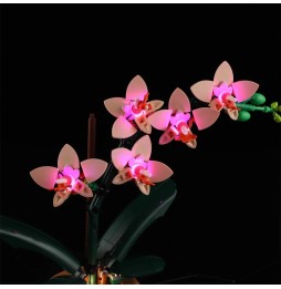 LED Lighting for LEGO 10343 Small Orchid